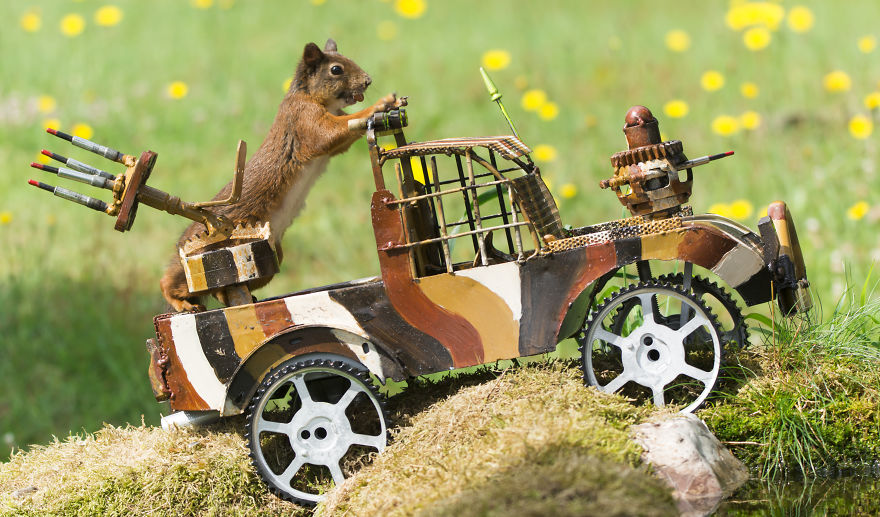 To Spread Some Joy, I Photograph Squirrels Playing In My Garden To Spread Some Joy, I Photograph Squirrels Playing In My Garden