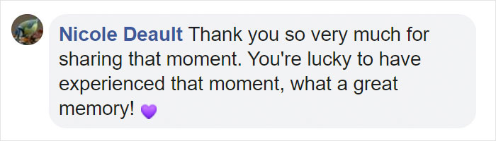 Mama Bear Scolds Her Cub For Peeking Into This Woman's Window And The Video Goes Viral Mama Bear Scolds Her Cub For Peeking Into This Woman's Window And The Video Goes Viral