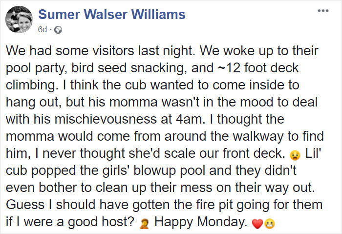 Mama Bear Scolds Her Cub For Peeking Into This Woman's Window And The Video Goes Viral