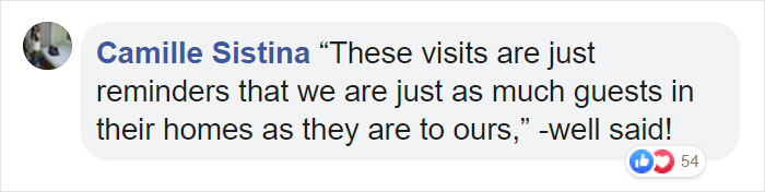 Mama Bear Scolds Her Cub For Peeking Into This Woman's Window And The Video Goes Viral Mama Bear Scolds Her Cub For Peeking Into This Woman's Window And The Video Goes Viral