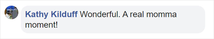 Mama Bear Scolds Her Cub For Peeking Into This Woman's Window And The Video Goes Viral Mama Bear Scolds Her Cub For Peeking Into This Woman's Window And The Video Goes Viral