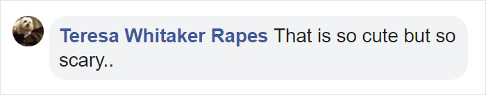 Mama Bear Scolds Her Cub For Peeking Into This Woman's Window And The Video Goes Viral