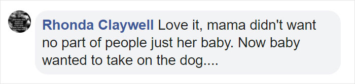 Mama Bear Scolds Her Cub For Peeking Into This Woman's Window And The Video Goes Viral Mama Bear Scolds Her Cub For Peeking Into This Woman's Window And The Video Goes Viral