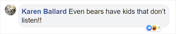 Mama Bear Scolds Her Cub For Peeking Into This Woman's Window And The Video Goes Viral Mama Bear Scolds Her Cub For Peeking Into This Woman's Window And The Video Goes Viral