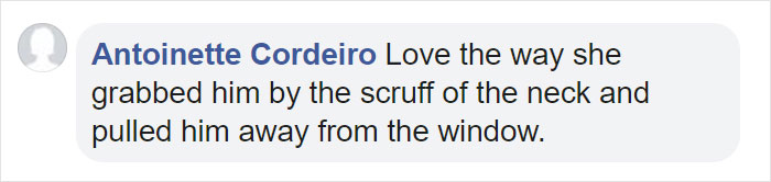 Mama Bear Scolds Her Cub For Peeking Into This Woman's Window And The Video Goes Viral