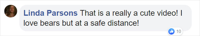 Mama Bear Scolds Her Cub For Peeking Into This Woman's Window And The Video Goes Viral Mama Bear Scolds Her Cub For Peeking Into This Woman's Window And The Video Goes Viral