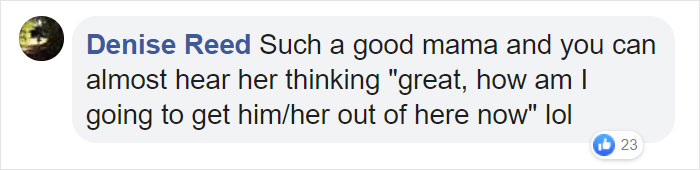 Mama Bear Scolds Her Cub For Peeking Into This Woman's Window And The Video Goes Viral