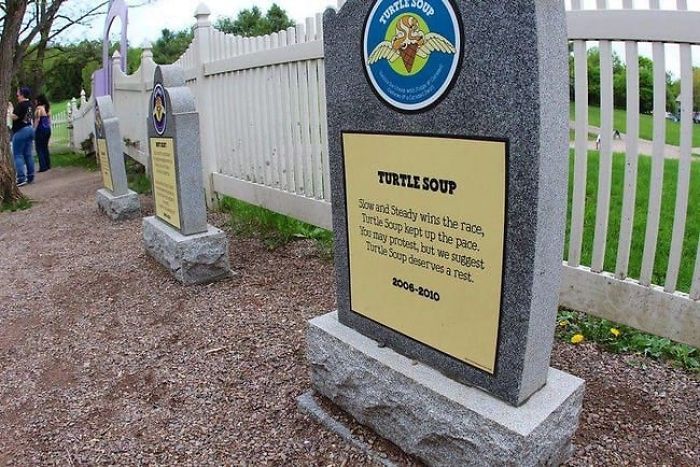 Turtle Soup (2006 - 2010)