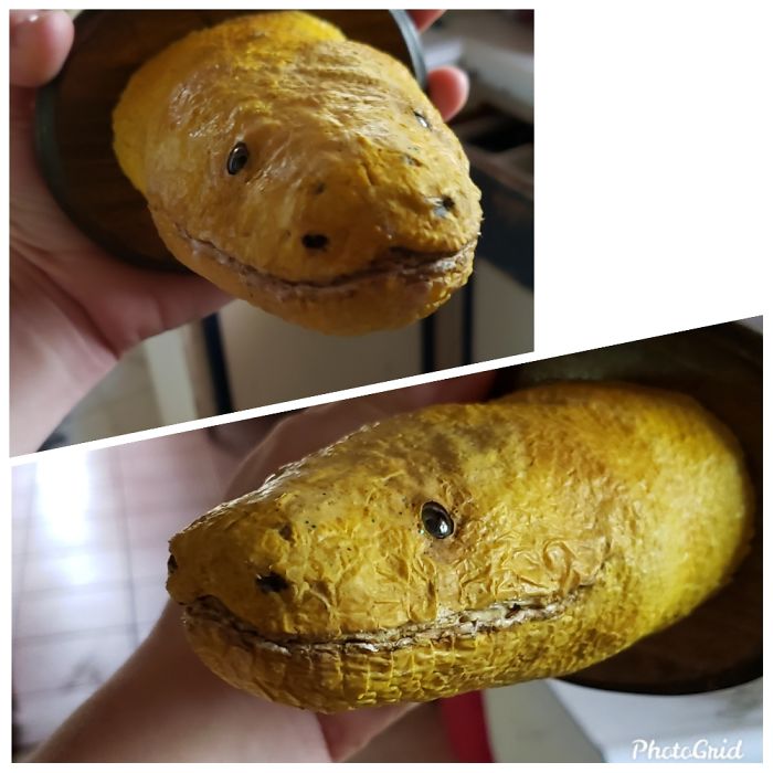 My Pet Albino Burmese Snake Mounted, Hung On My Wall And For Some Reason Has Glitter On It.