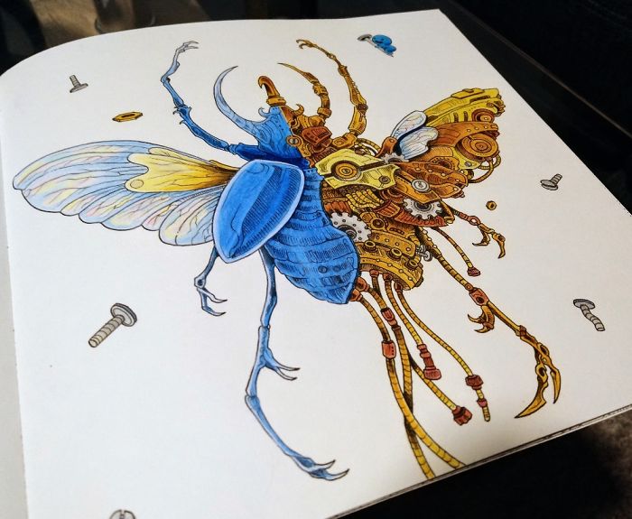 Adult Colouring Books. I Love To Colour!!