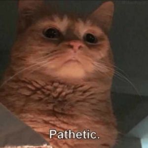 csoliveira-almeida avatar