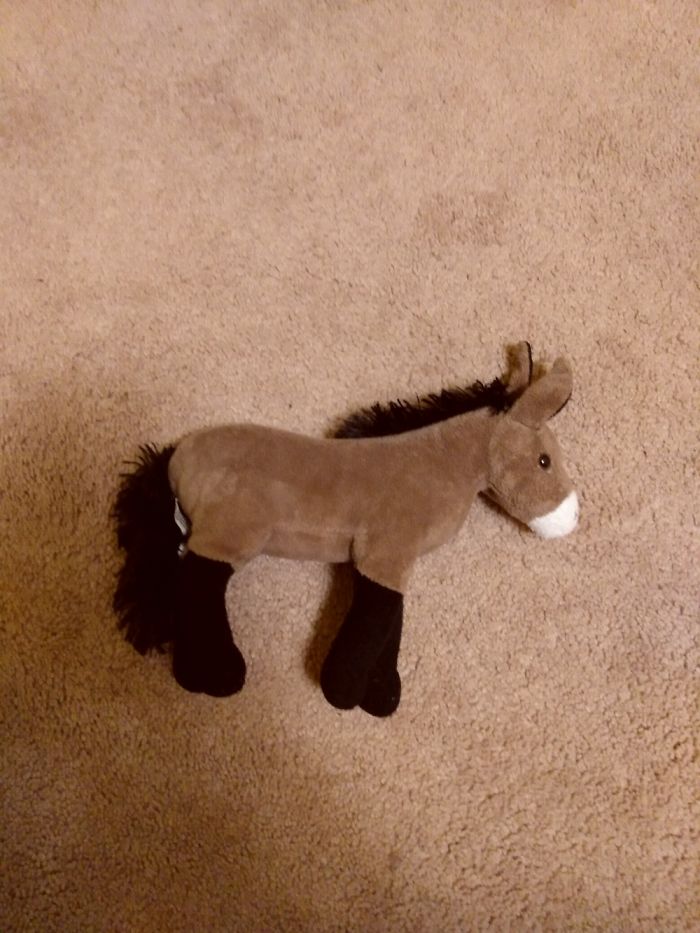 Meet Dinky Hee Haw! Yes, Dinky Hee Haw