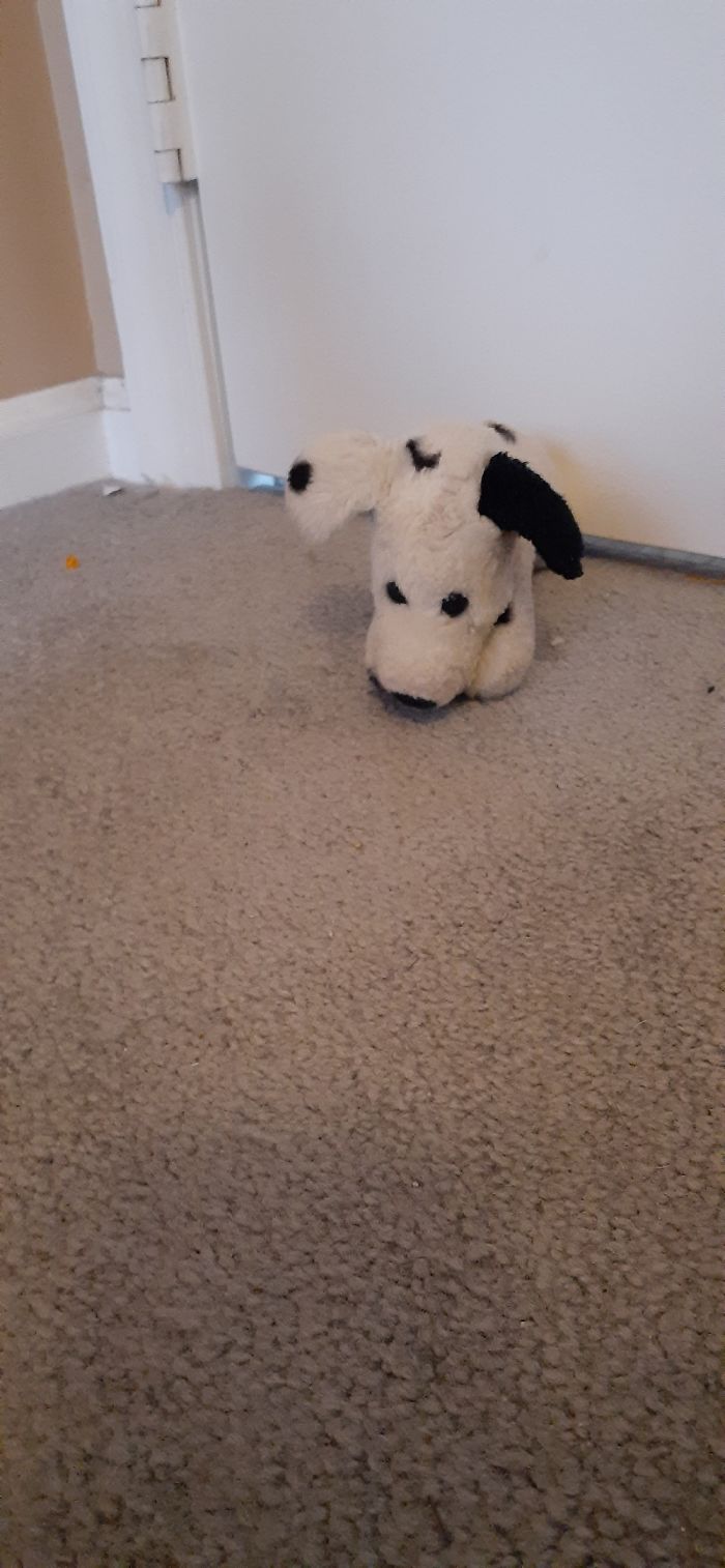 Pongo The Dalmation Named When I Was 2 After Seeing 101 Dalmations For The First Time