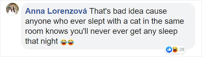 Traditional Japanese Inn Offers Its Guests Cat Companions To Spend The Night With