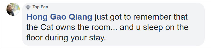 Traditional Japanese Inn Offers Its Guests Cat Companions To Spend The Night With