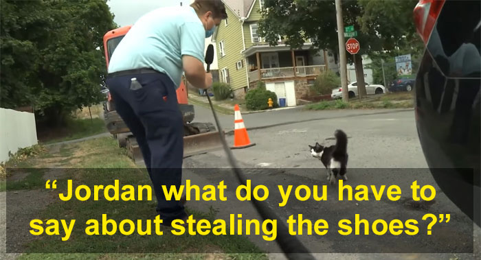 This Cat Loves Stealing His Neighbors' Shoes So Much, His Owner Even Created A Facebook Group To Return Them