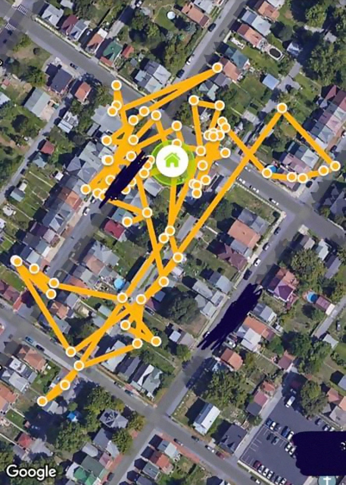 This Cat Loves Stealing His Neighbors' Shoes So Much, His Owner Even Created A Facebook Group To Return Them This Cat Loves Stealing His Neighbors' Shoes So Much, His Owner Even Created A Facebook Group To Return Them