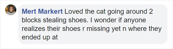 This Cat Loves Stealing His Neighbors' Shoes So Much, His Owner Even Created A Facebook Group To Return Them