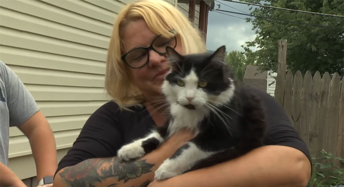 This Cat Loves Stealing His Neighbors' Shoes So Much, His Owner Even Created A Facebook Group To Return Them This Cat Loves Stealing His Neighbors' Shoes So Much, His Owner Even Created A Facebook Group To Return Them
