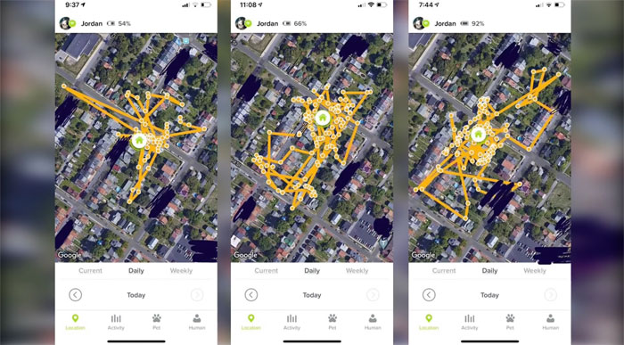 This Cat Loves Stealing His Neighbors' Shoes So Much, His Owner Even Created A Facebook Group To Return Them This Cat Loves Stealing His Neighbors' Shoes So Much, His Owner Even Created A Facebook Group To Return Them