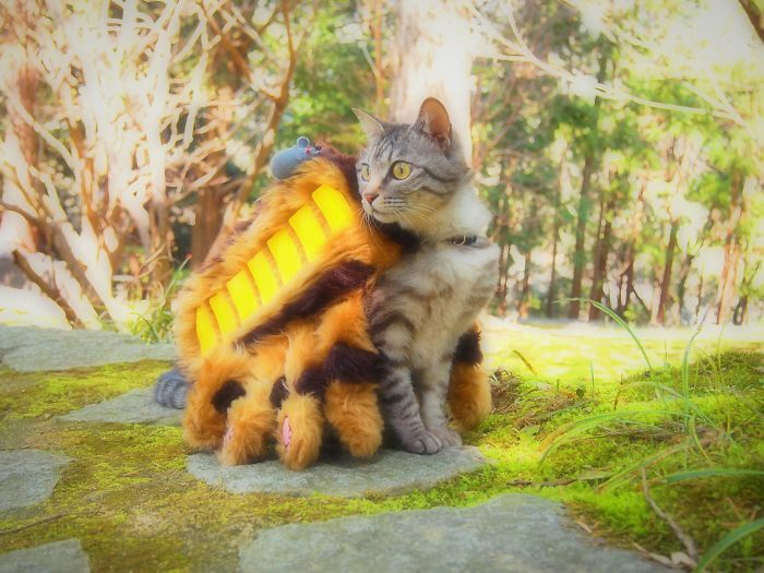Cats-Anime-Costumes-Yagyouneko-Japan