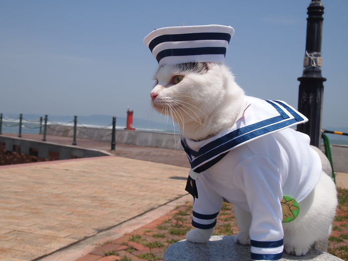 Cats-Anime-Costumes-Yagyouneko-Japan
