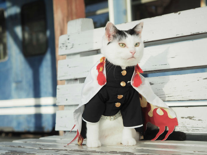 Cats-Anime-Costumes-Yagyouneko-Japan