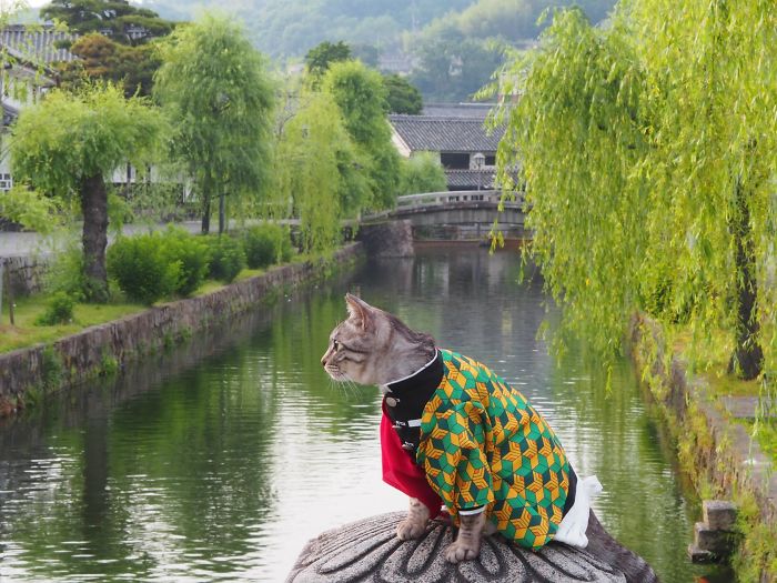 Cats-Anime-Costumes-Yagyouneko-Japan