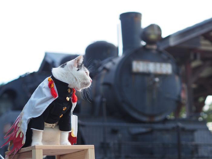 Cats-Anime-Costumes-Yagyouneko-Japan