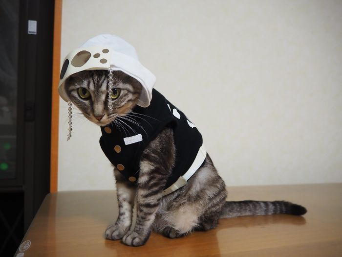 Cats-Anime-Costumes-Yagyouneko-Japan