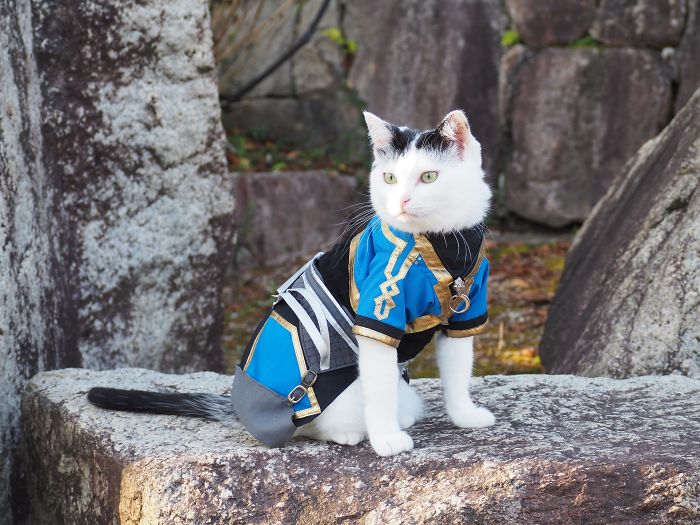 Cats-Anime-Costumes-Yagyouneko-Japan