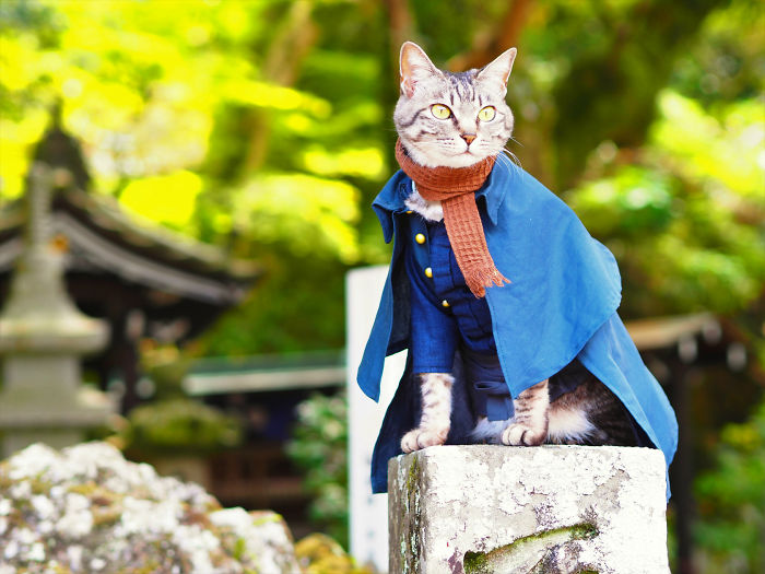 Cats-Anime-Costumes-Yagyouneko-Japan