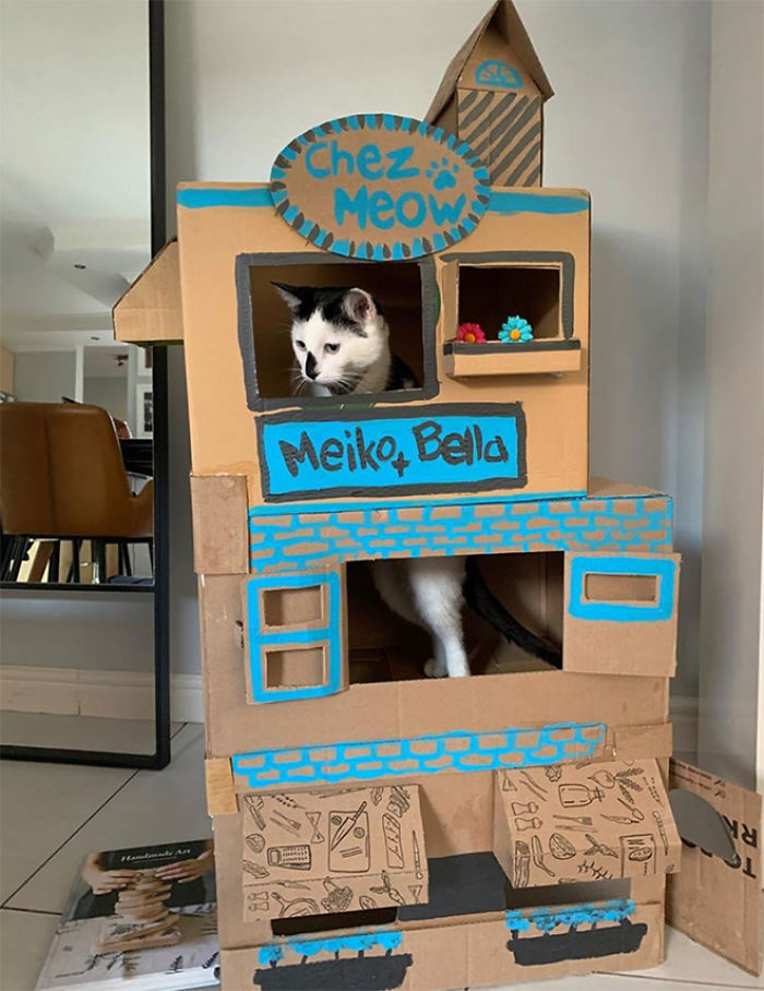 Cat inside a creative cardboard fort with blue decorations, showcasing an ecological solution for cardboard box reuse.