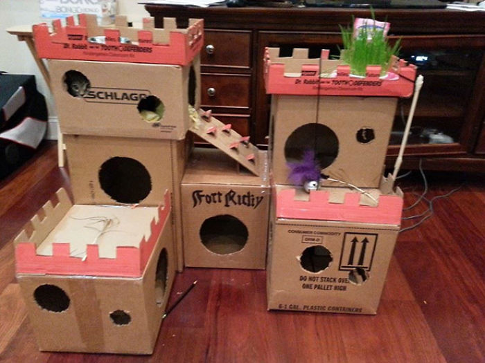Cardboard fort for cats made from recycled boxes, offering an ecological solution for repurposing cardboard materials.