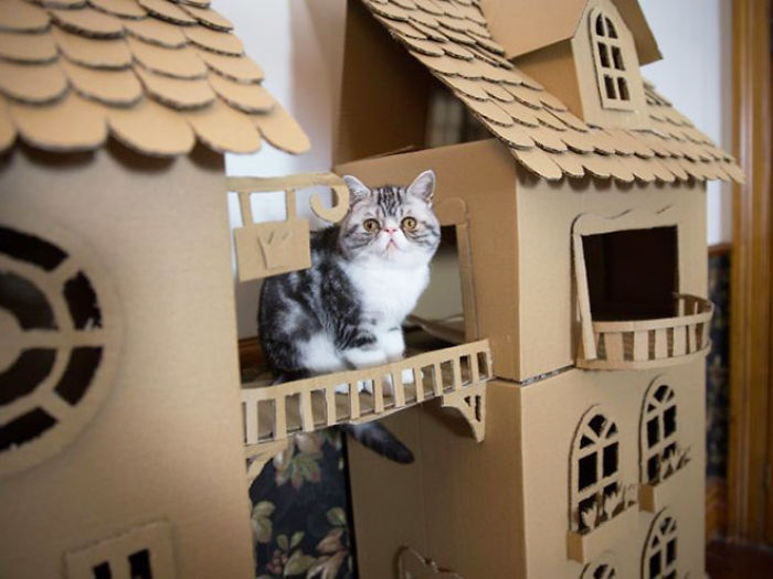 Cat sitting inside a detailed cardboard fort with windows and a bridge, showcasing an eco-friendly cardboard box solution.
