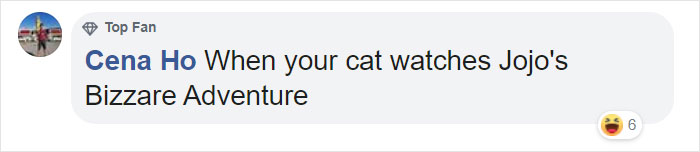 5 Untold Struggles Of Having A Cat