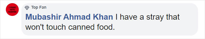 5 Untold Struggles Of Having A Cat 5 Untold Struggles Of Having A Cat