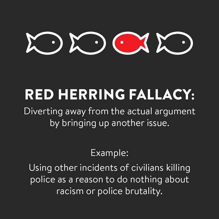 Woman Shows Examples Of 5 Common Logical Fallacies Being Used Against The Black Lives Matter Movement