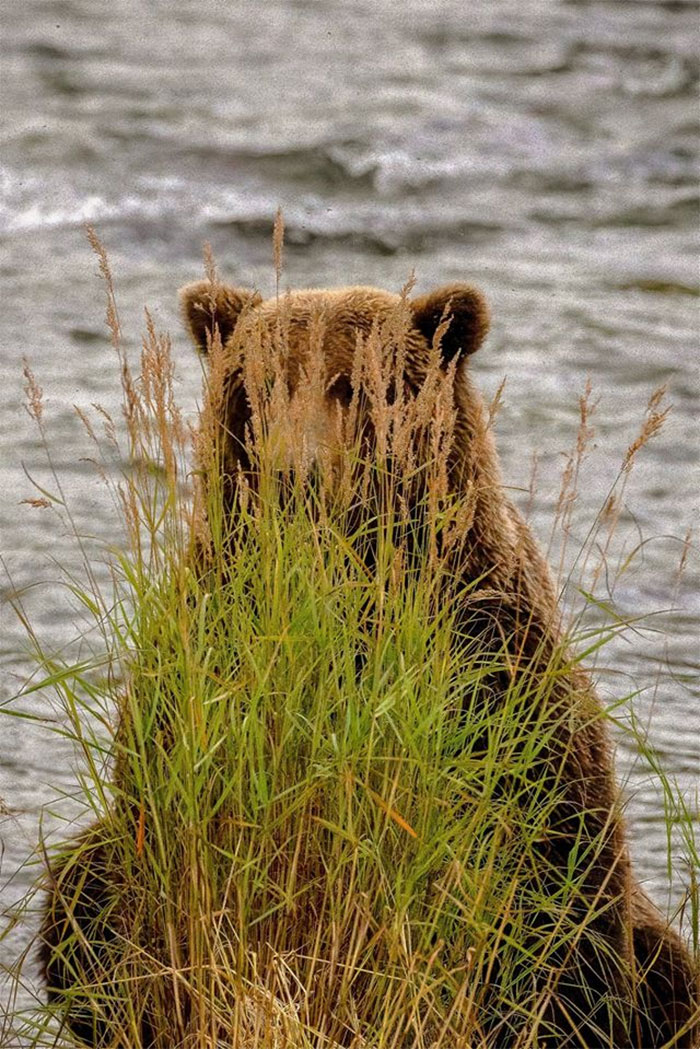 I Had This Strange Feeling I Was Being Watched....