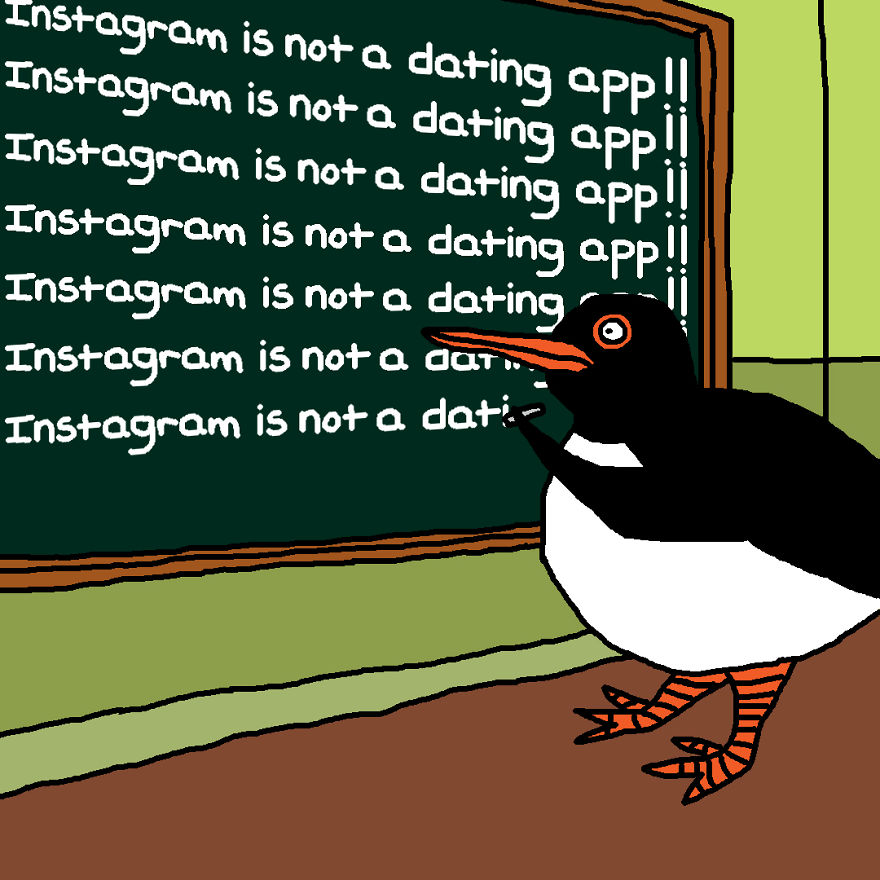 Lardy Oystercatcher Needs To Learn To Not DM Strangers With "Hey" Fourteen Times Then "Whats Up"