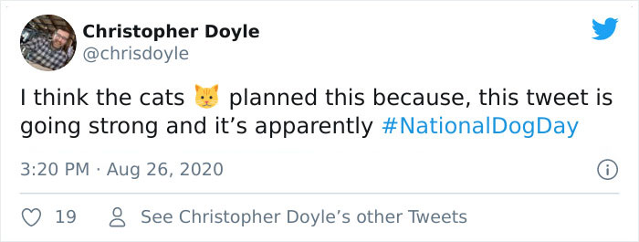 Canadian Girl Makes A PowerPoint To Convince Her Parents To Get A Cat, And It Goes Viral Canadian Girl Makes A PowerPoint To Convince Her Parents To Get A Cat, And It Goes Viral