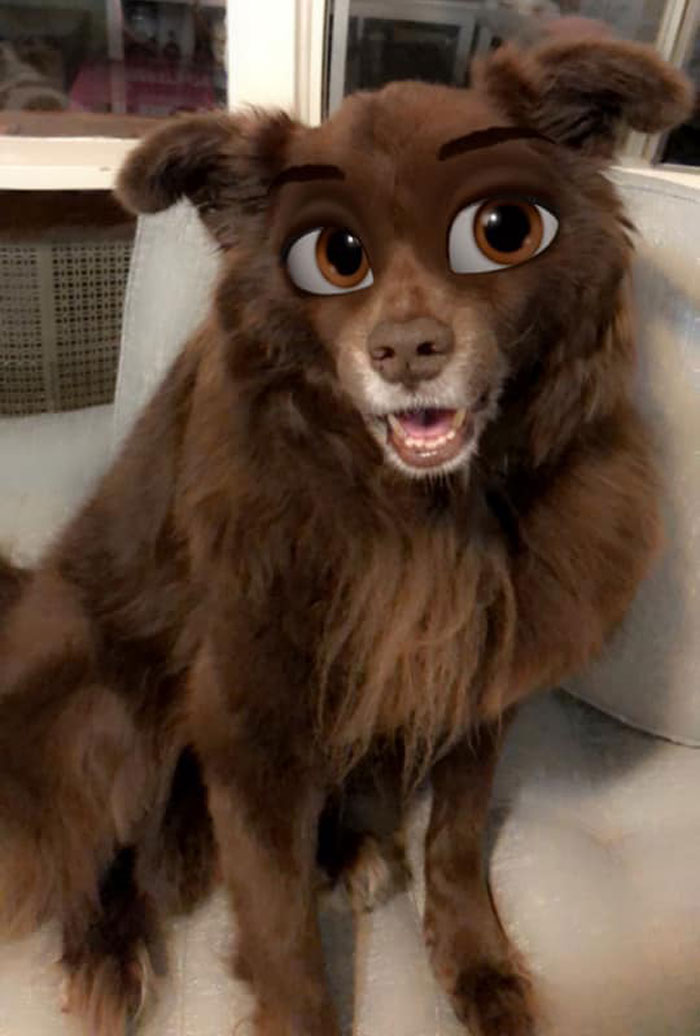 Dog-Disney-Snapchat-Filter