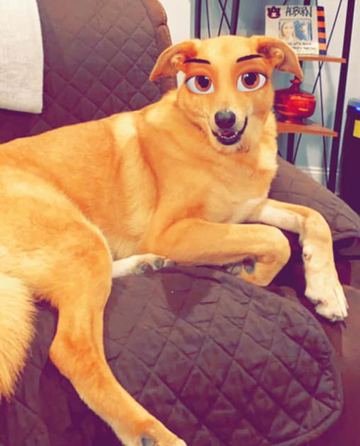 Dog-Disney-Snapchat-Filter