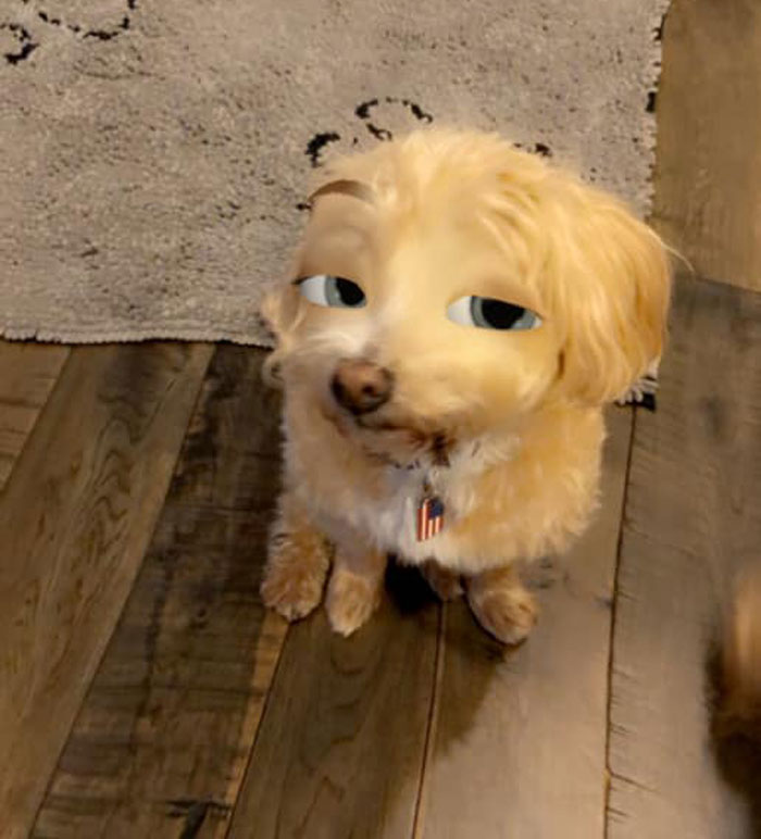 Dog-Disney-Snapchat-Filter