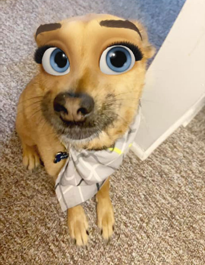Dog-Disney-Snapchat-Filter