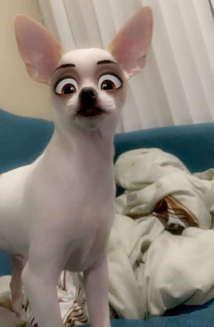 Dog-Disney-Snapchat-Filter