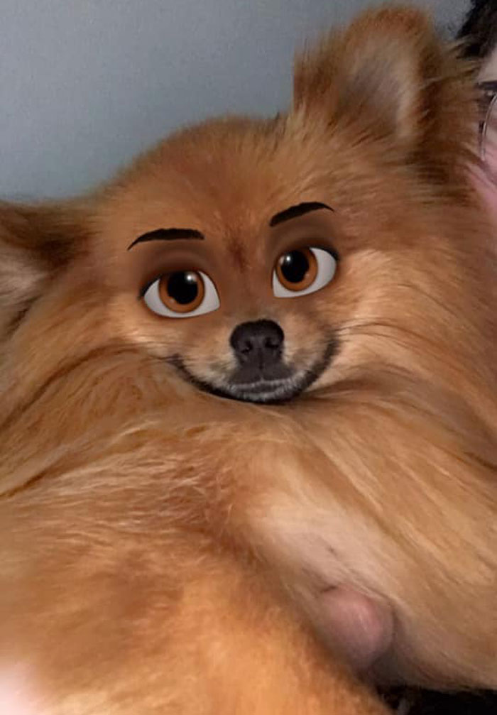 Dog-Disney-Snapchat-Filter