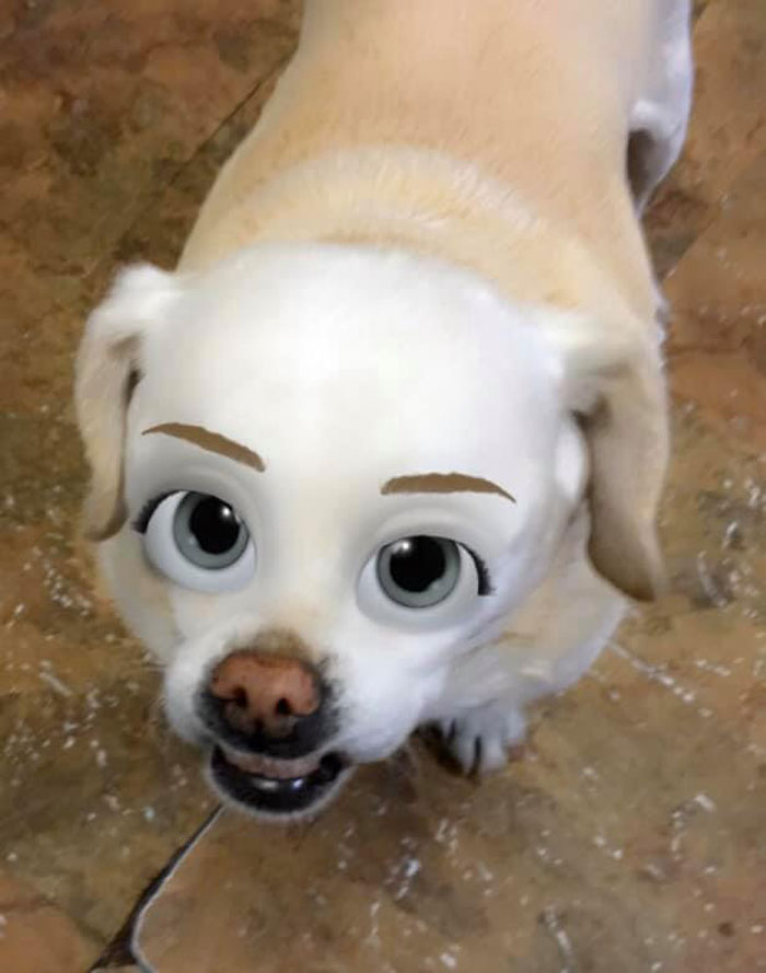 Dog-Disney-Snapchat-Filter