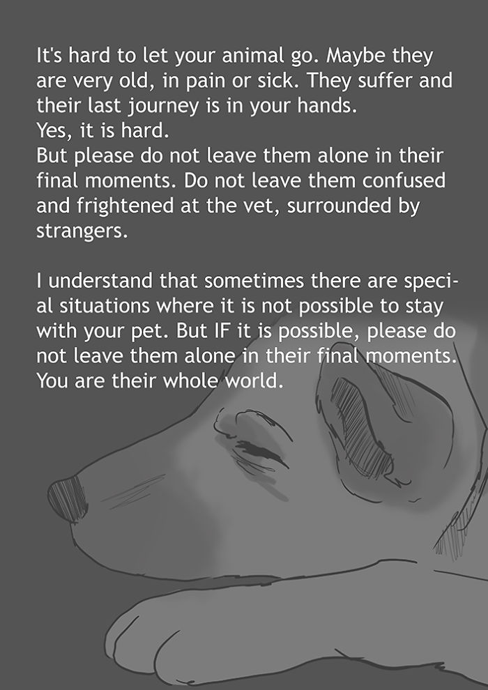 Artist Who Made People Cry With Her Grim Reaper Animal Comics Is Back, And This Time It’s About Seeing Your Dog Being Put To Sleep