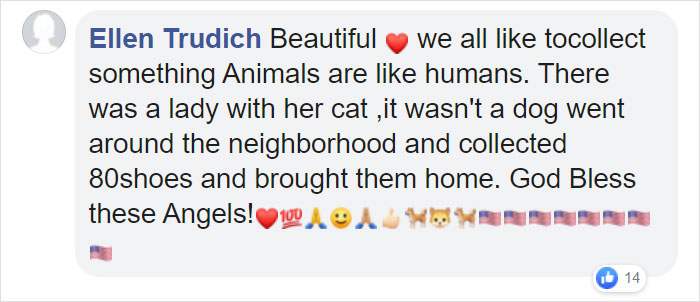 This Dog Shows His Dad How Proud He Is Of His Stick Collection